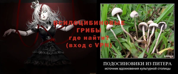 кокаин колумбия Алексин