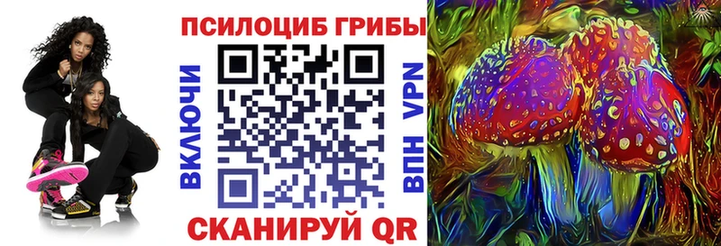 Псилоцибиновые грибы мицелий  магазин продажи   дарк нет какой сайт  Апрелевка 