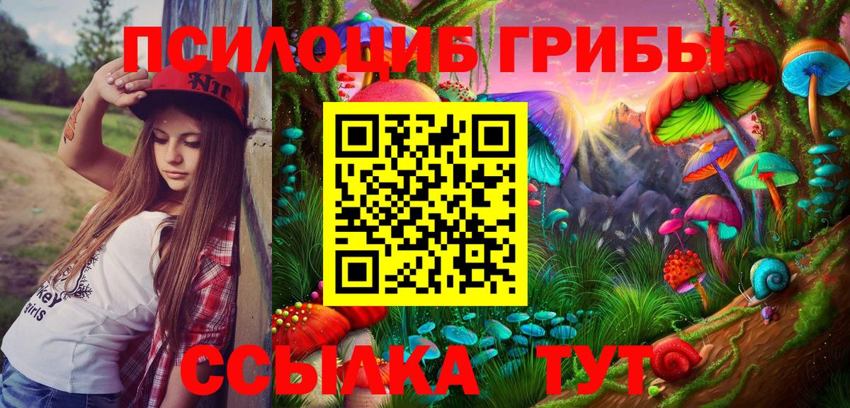 Псилоцибиновые грибы Magic Shrooms  Псилоцибиновые грибы ЛСД  Апрелевка  Вход с VPN 