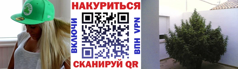 где можно купить наркотик Апрелевка Бошки марихуана ГИДРОПОН