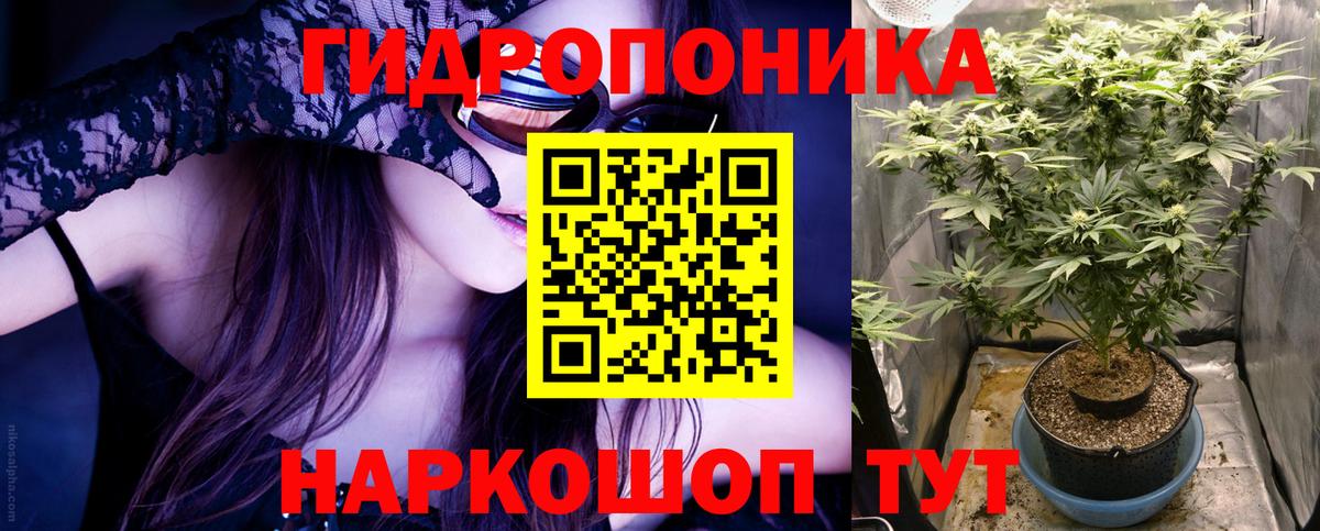 Шишки марихуана сатива  Бошки марихуана индика  Канабис планчик  Марихуана White Widow  Апрелевка 